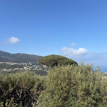 Apartman Cardo Village Bastia