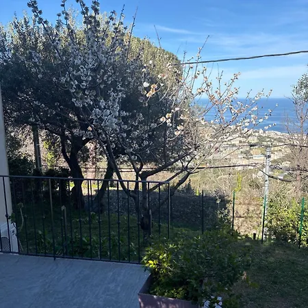 Cardo Village Apartament *