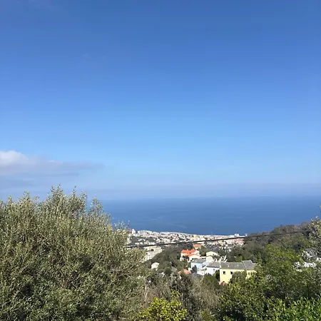 Apartman Cardo Village *